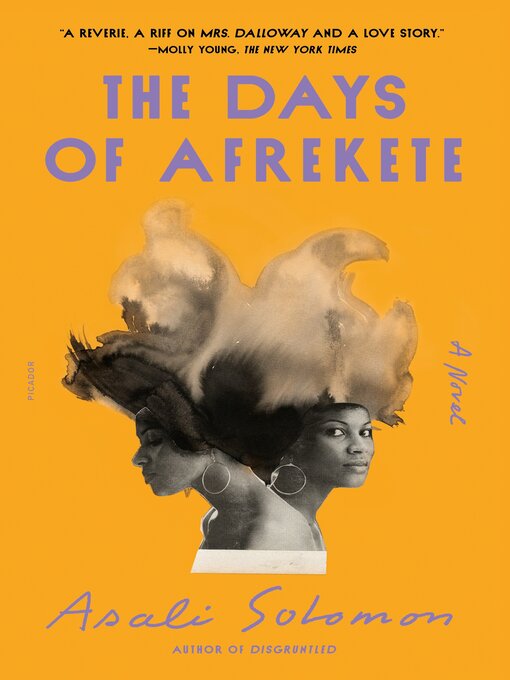 Title details for The Days of Afrekete by Asali Solomon - Available